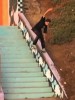 Blind Skateboards- DAMN Video Trailer #2 und 10 Fragen an Bill Weiss!