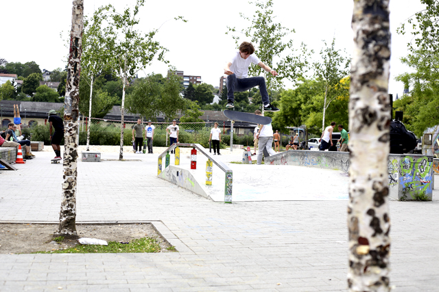 DavidDellmann_FsFlip